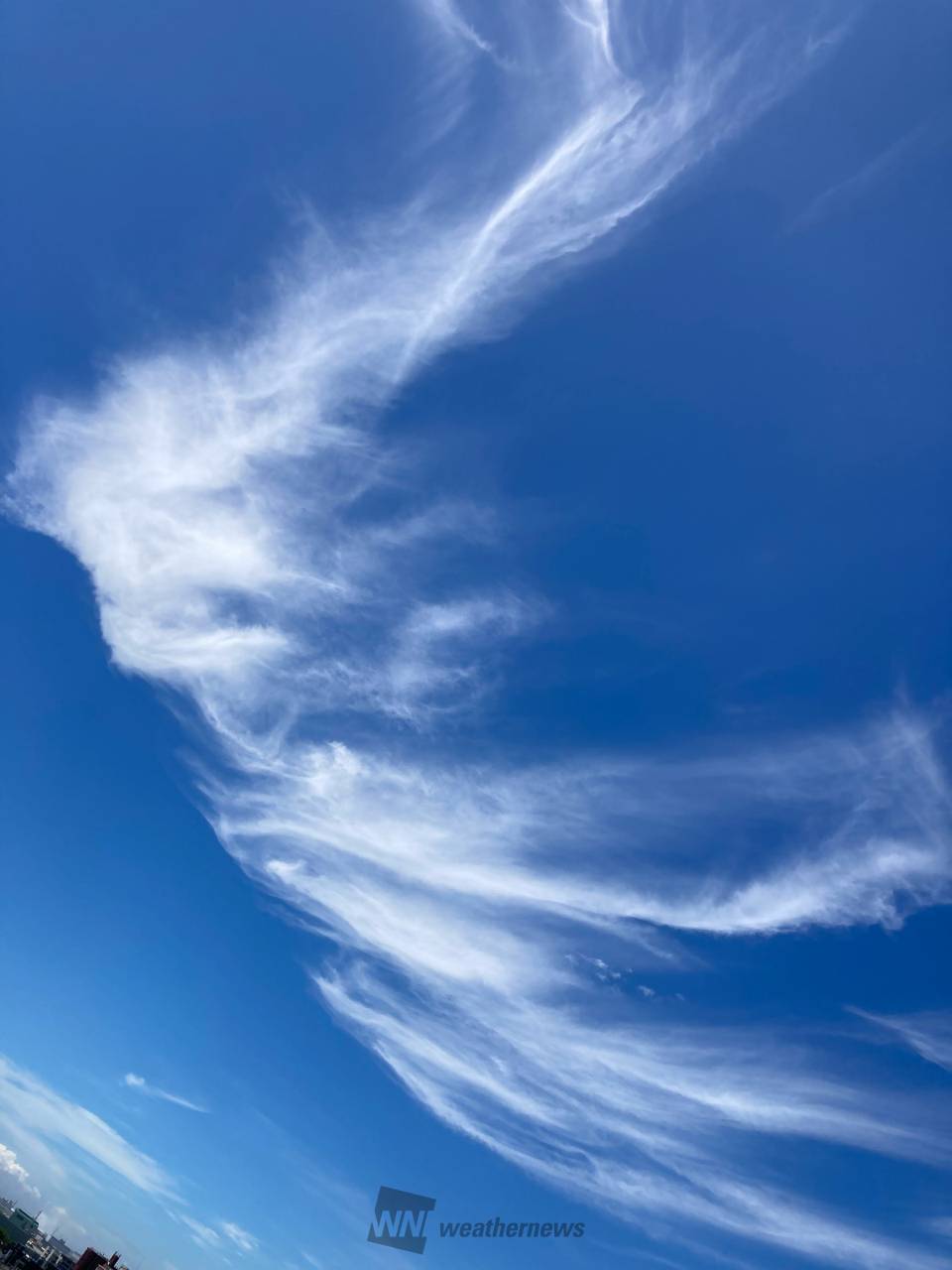 筆で描いたような雲 注目の空の写真 ウェザーニュース