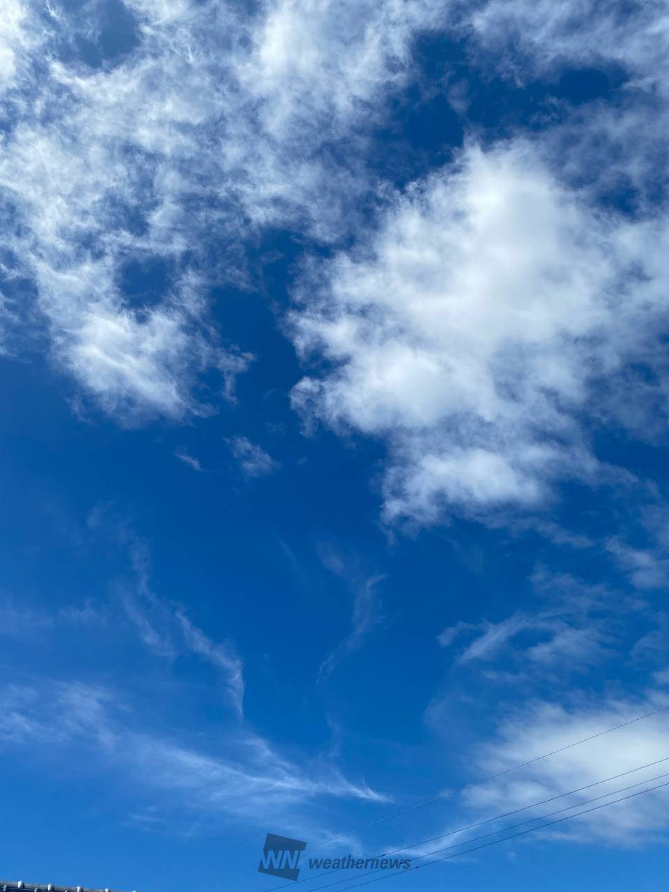 真上のお空は青！青空です♡ 青空だと空港 | 高知県南国市 | デール