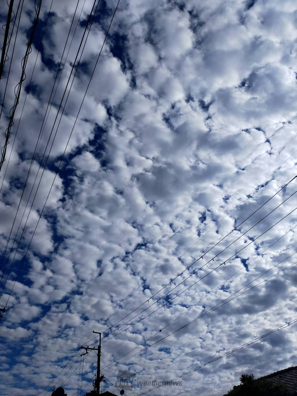 ひつじ雲やうろこ雲 注目の空の写真 ウェザーニュース