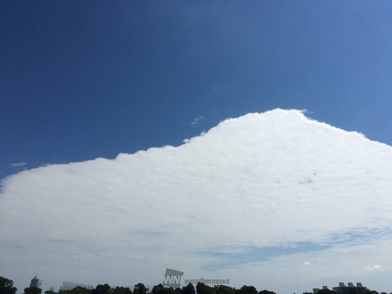 空にカーペット 平べったい雲現る 注目の空の写真 ウェザーニュース