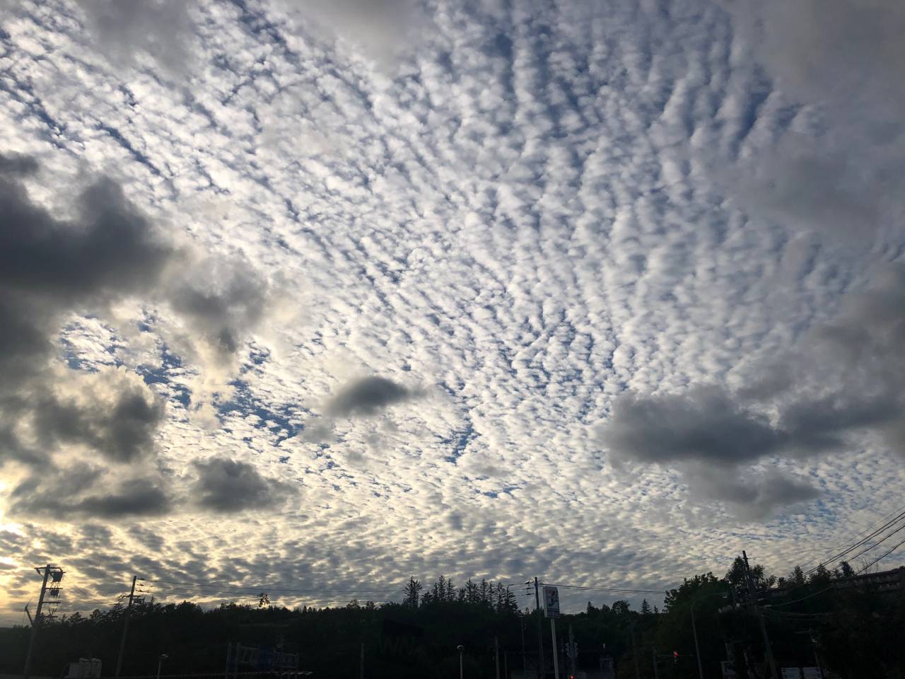 秋の雲を発見 注目の空の写真 ウェザーニュース