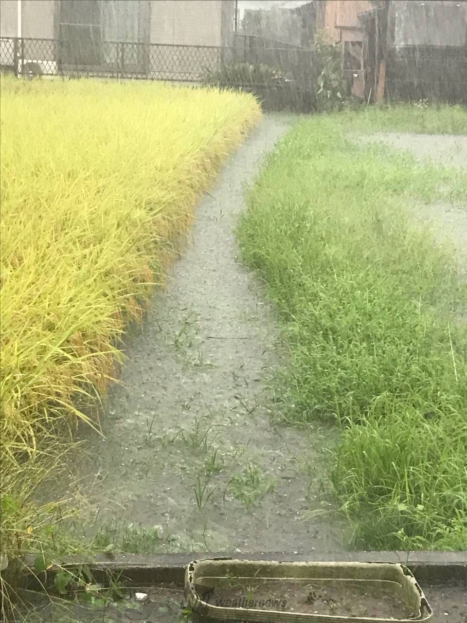 激しい雷雨で道路冠水も 注目の空の写真 ウェザーニュース