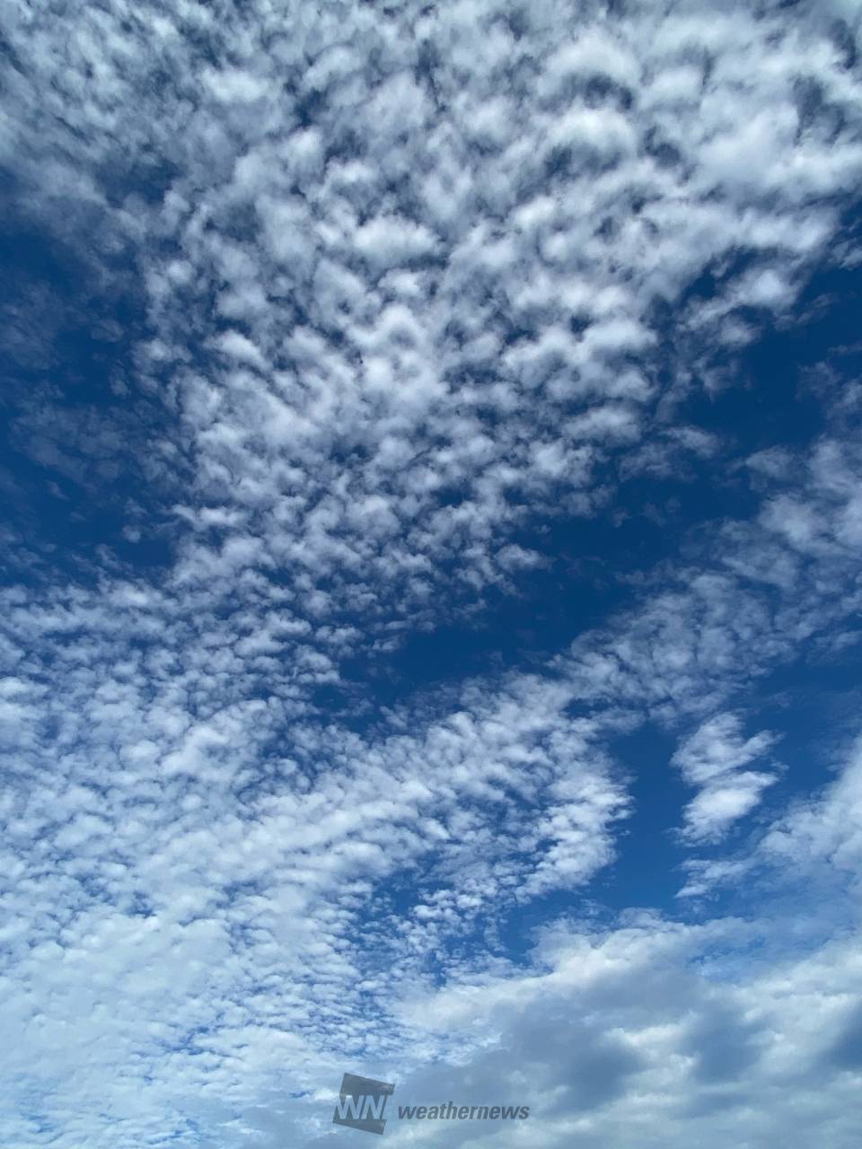 秋の近づきを感じさせる雲 注目の空の写真 ウェザーニュース