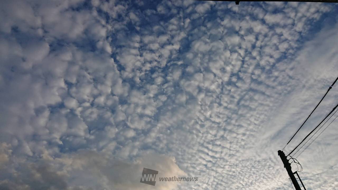 秋の近づきを感じさせる雲 注目の空の写真 ウェザーニュース