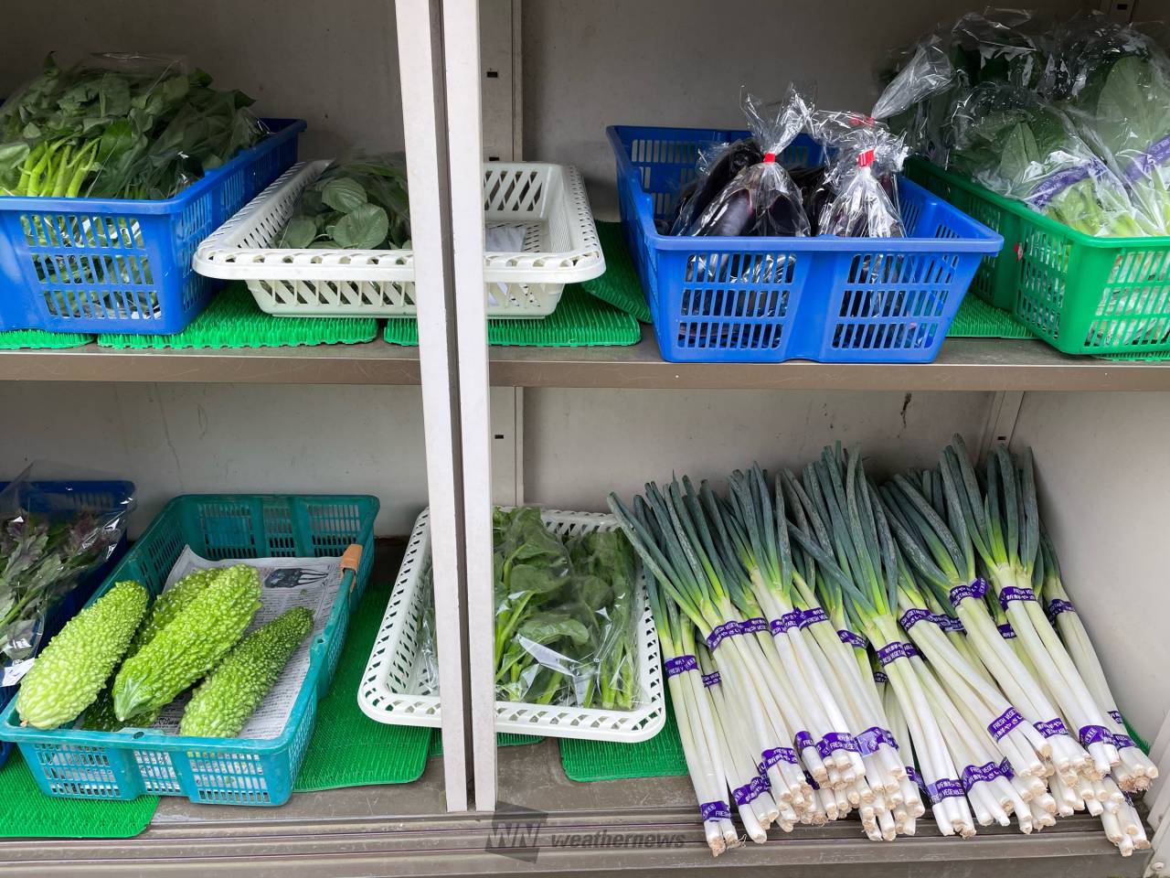 8月31日は野菜の日 注目の空の写真 ウェザーニュース