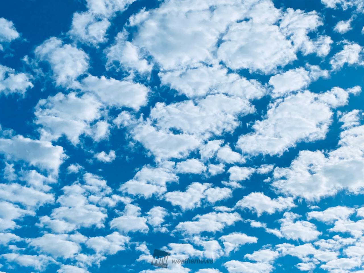 秋の空広がる 注目の空の写真 ウェザーニュース