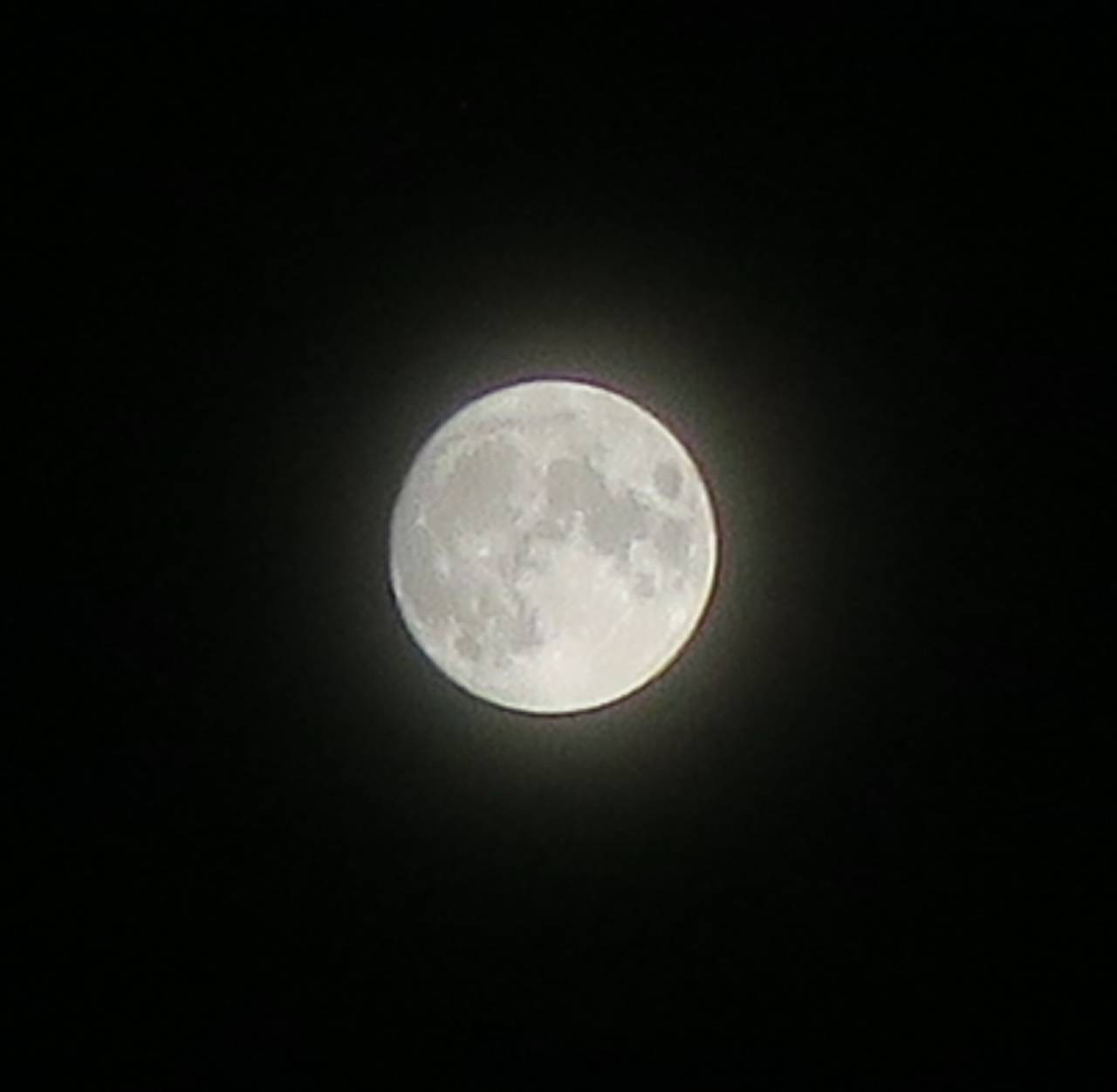 ほぼ”まん丸”のお月様 注目の空の写真 ウェザーニュース