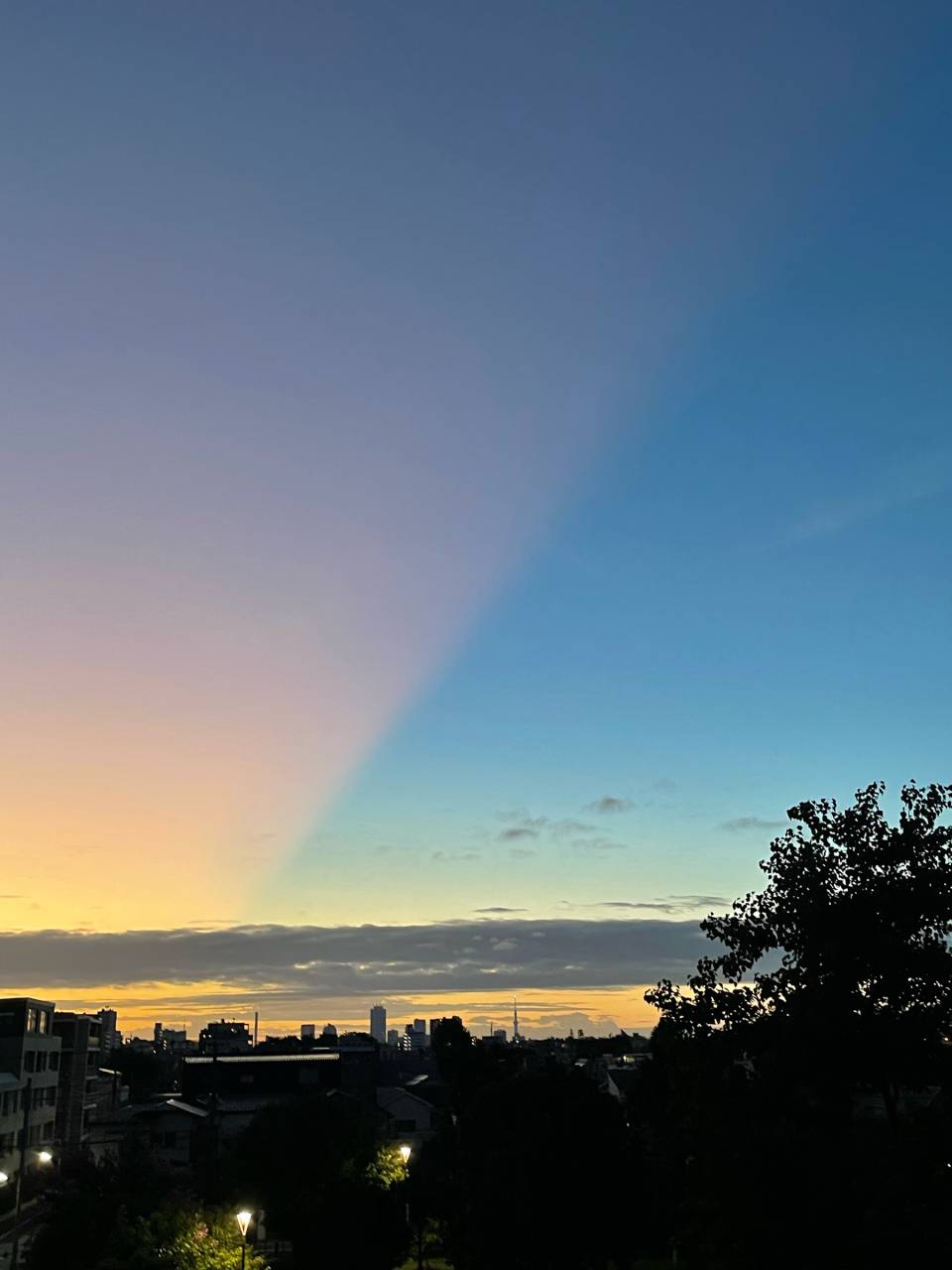 二色に分かれた朝の空 注目の空の写真 ウェザーニュース