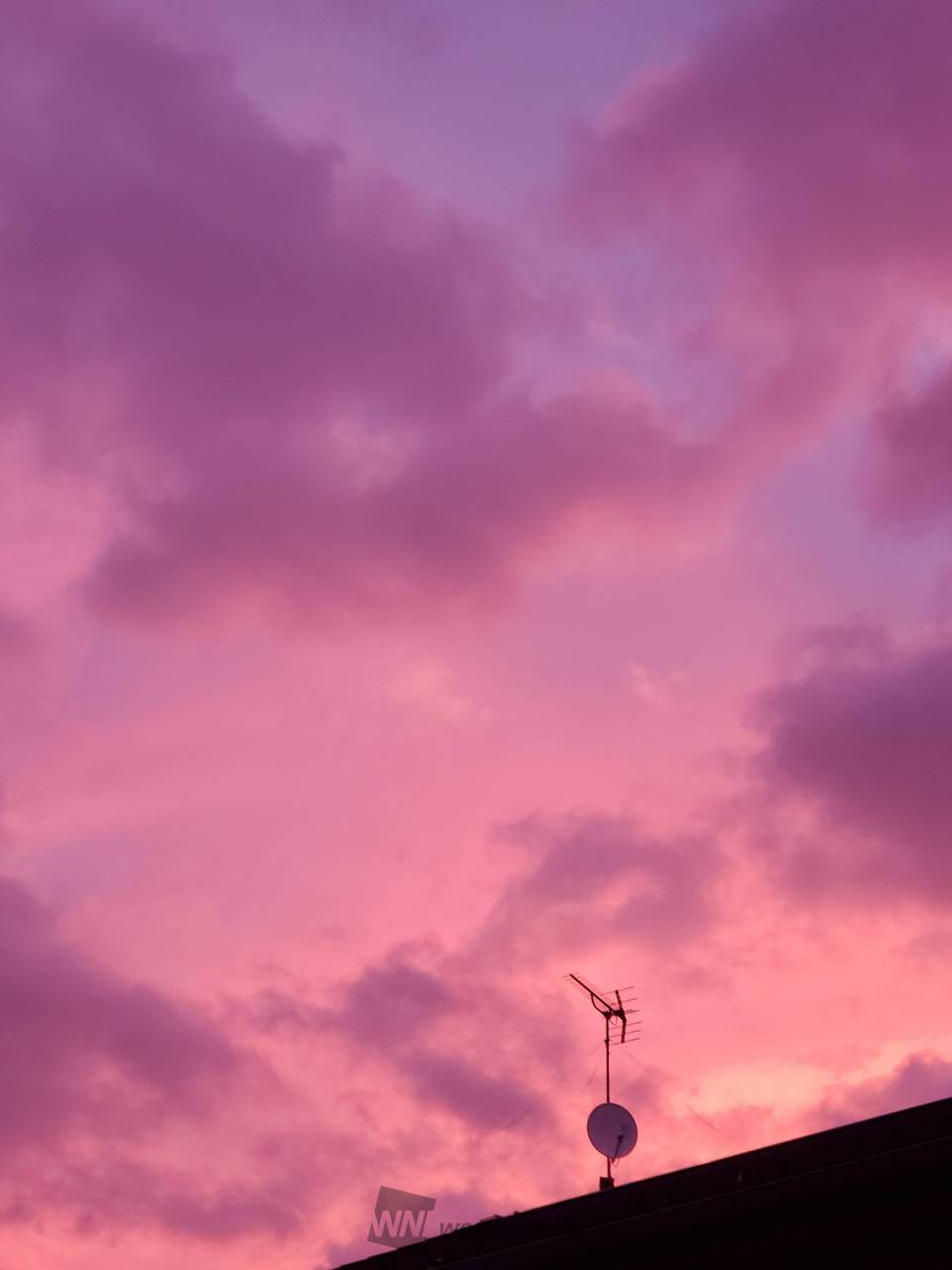 紫やピンクの朝焼け 注目の空の写真 ウェザーニュース