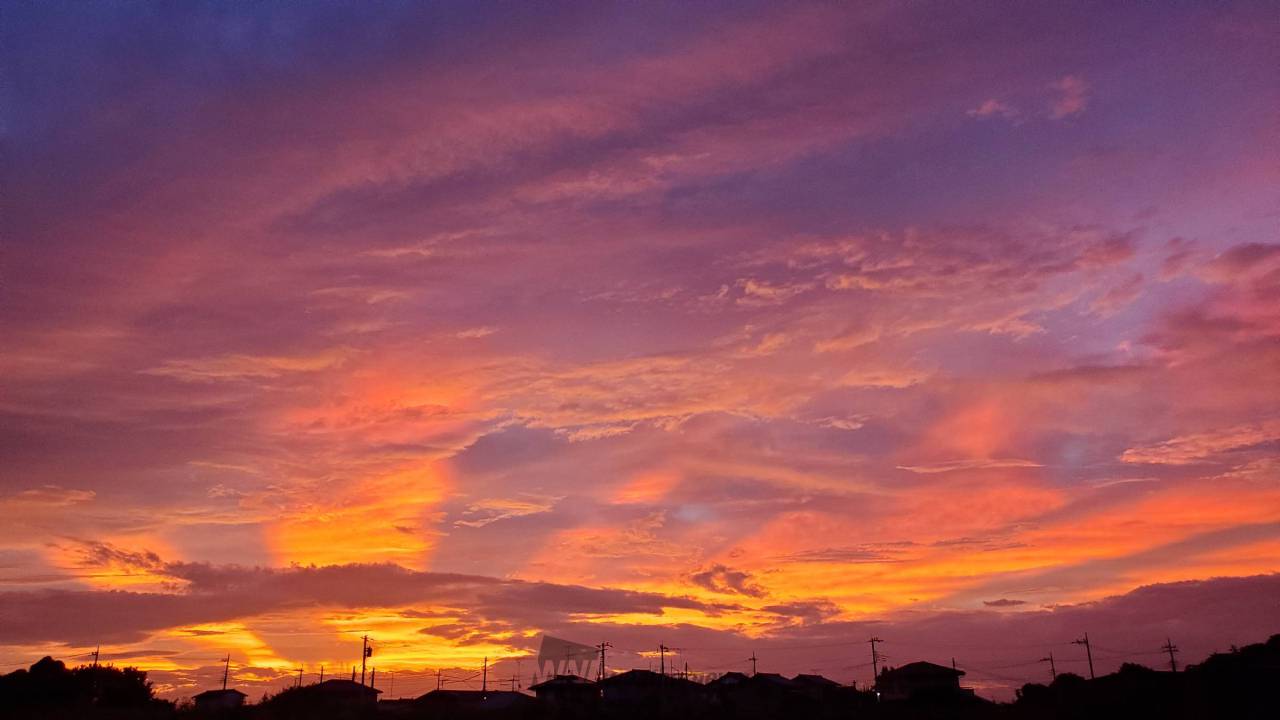 紫やピンクの朝焼け 注目の空の写真 ウェザーニュース