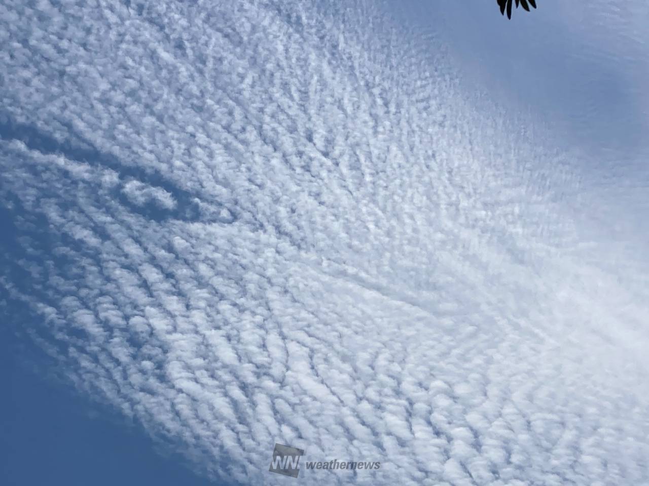 空には秋の雲 注目の空の写真 ウェザーニュース 空には秋の雲 注目の空の写真 ウェザーニュース