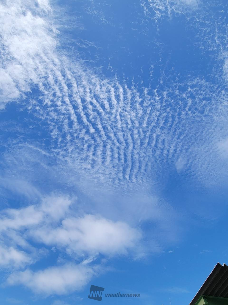 空には秋の雲 注目の空の写真 ウェザーニュース