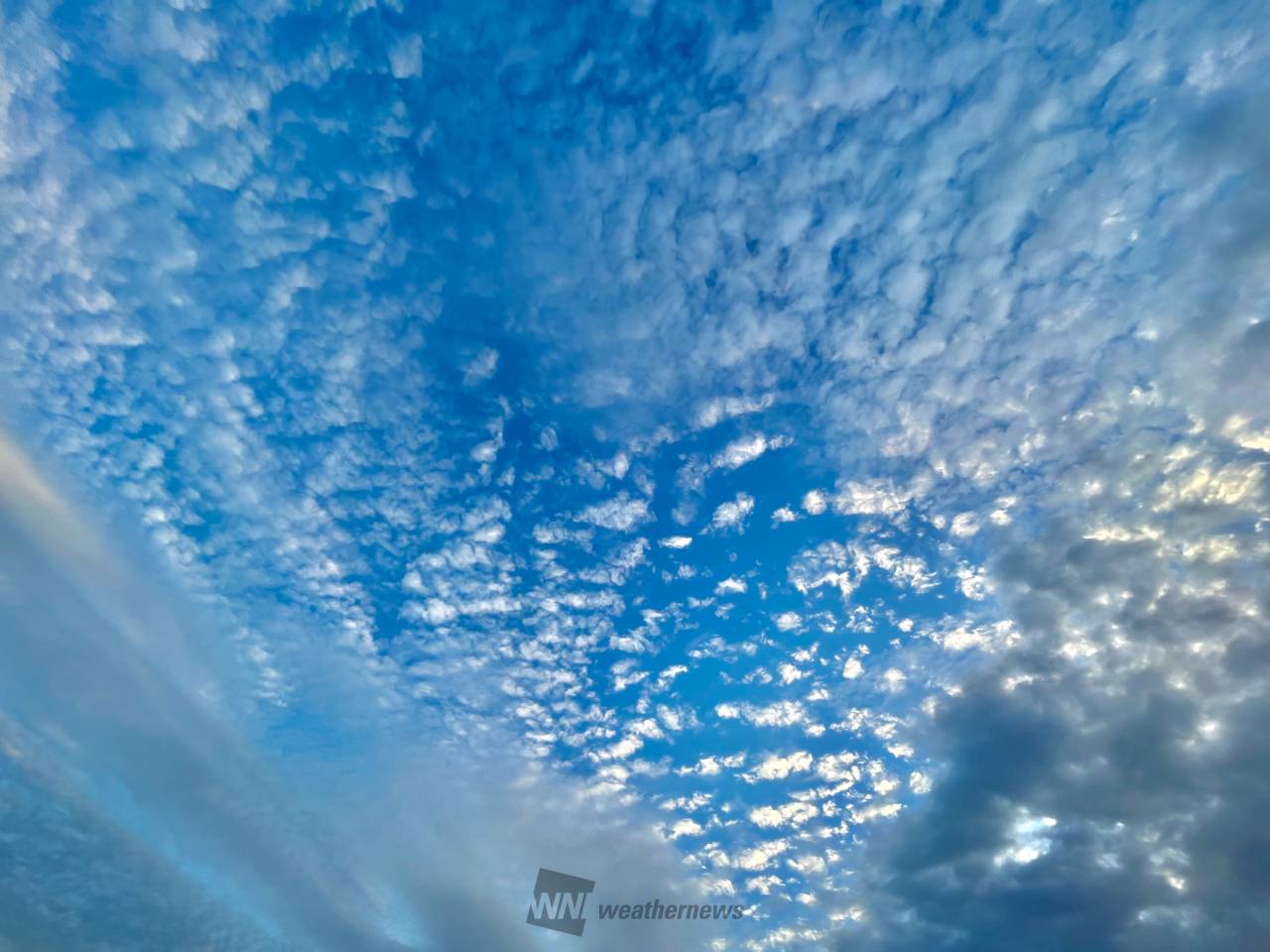 羊雲やウロコ雲 秋の空 注目の空の写真 ウェザーニュース