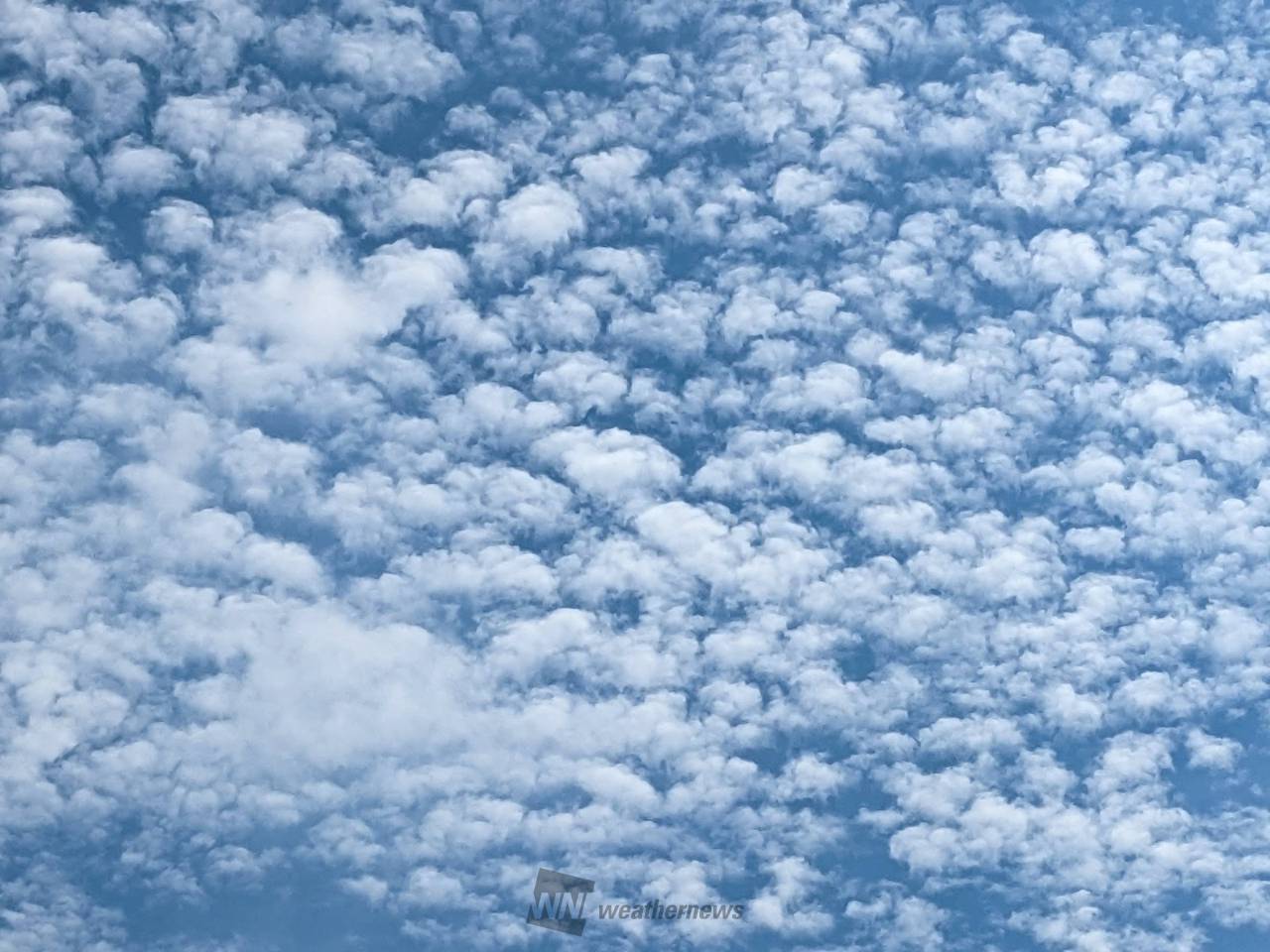 空いっぱいのモコモコ雲 注目の空の写真 ウェザーニュース