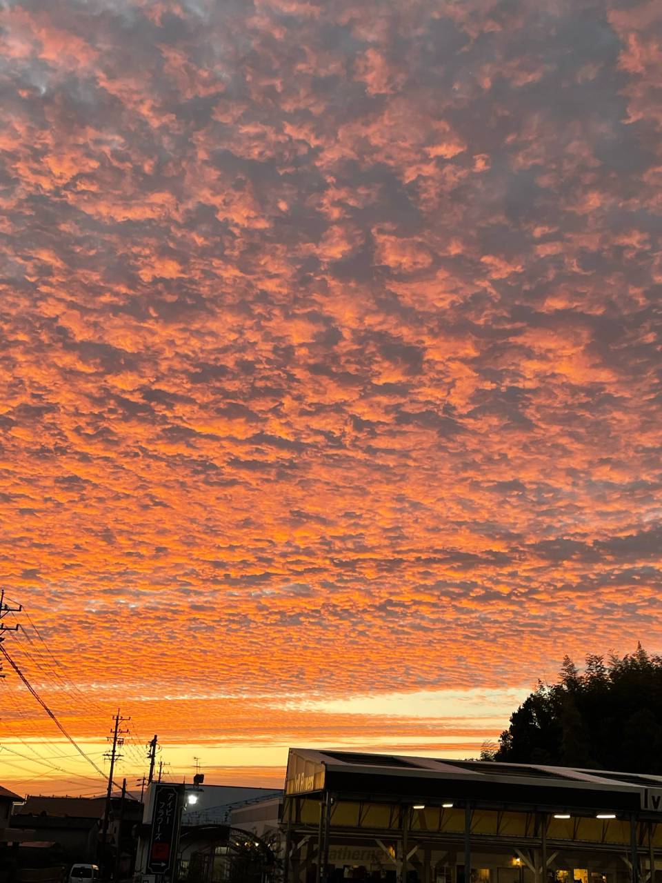 茜色に染まるうろこ雲 注目の空の写真 ウェザーニュース