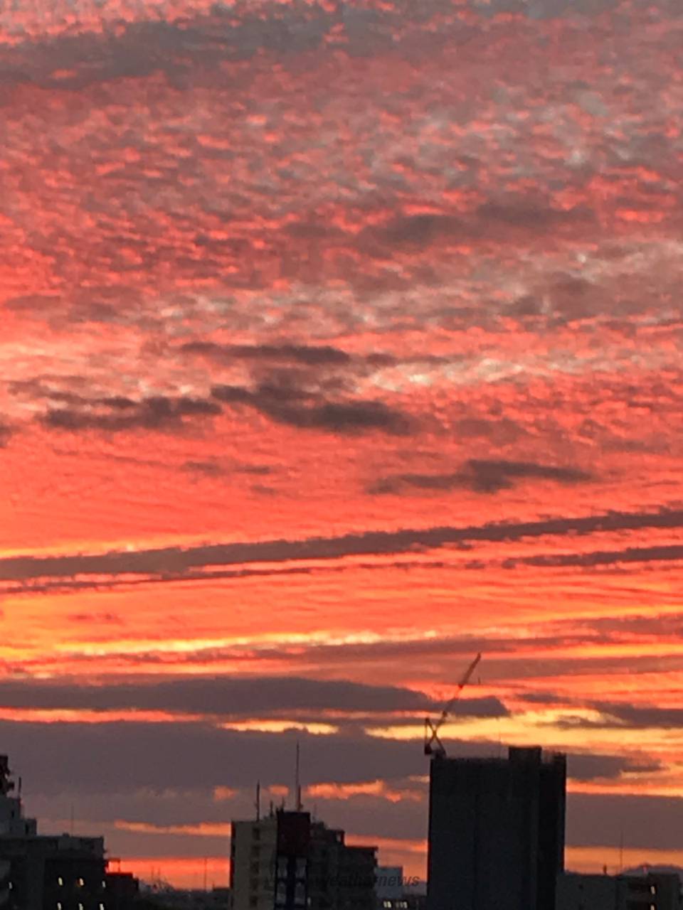 茜色に染まるうろこ雲 注目の空の写真 ウェザーニュース