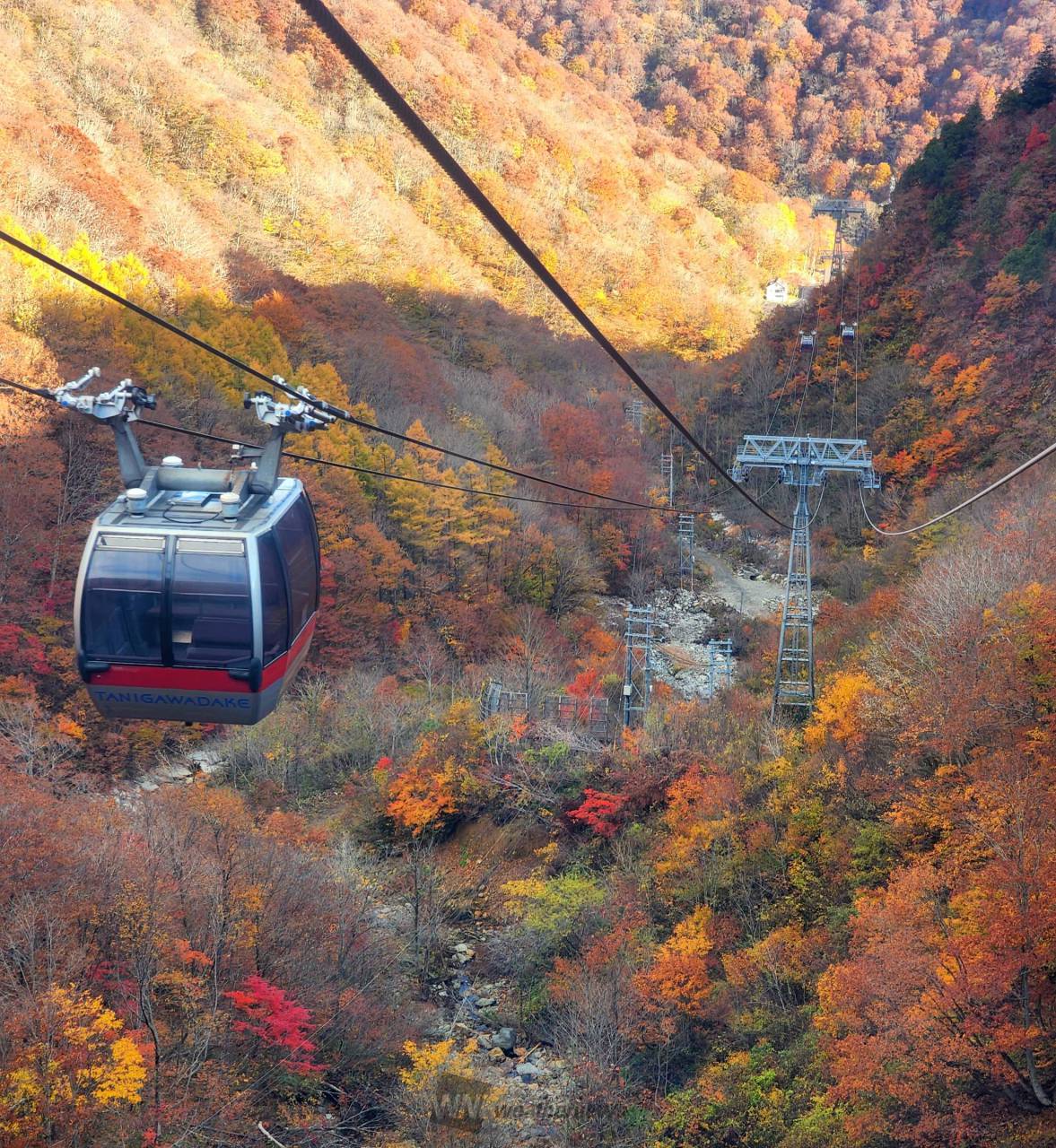 谷川岳 ロープウェイ土合口駅 の紅葉情報 22 ウェザーニュース