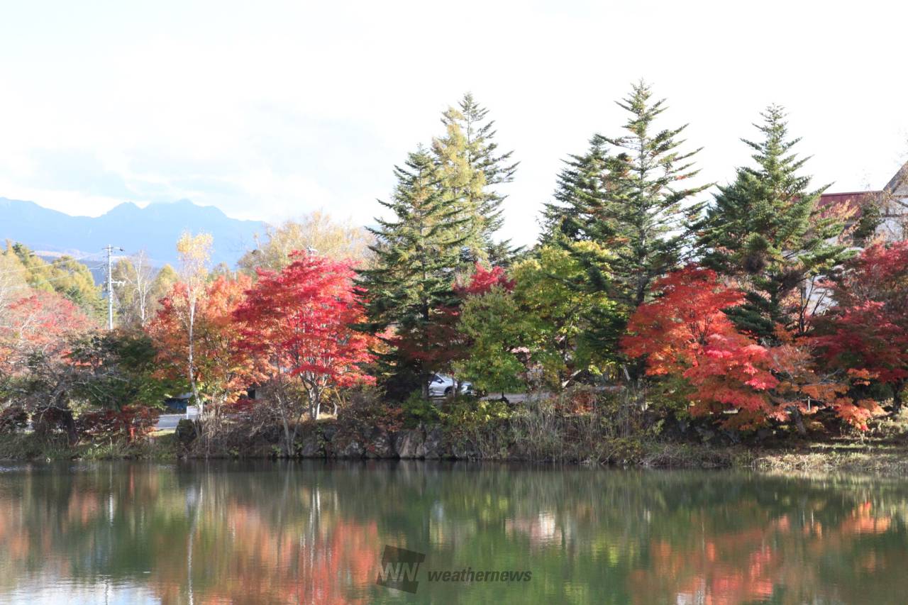 蓼科の紅葉情報 22 ウェザーニュース