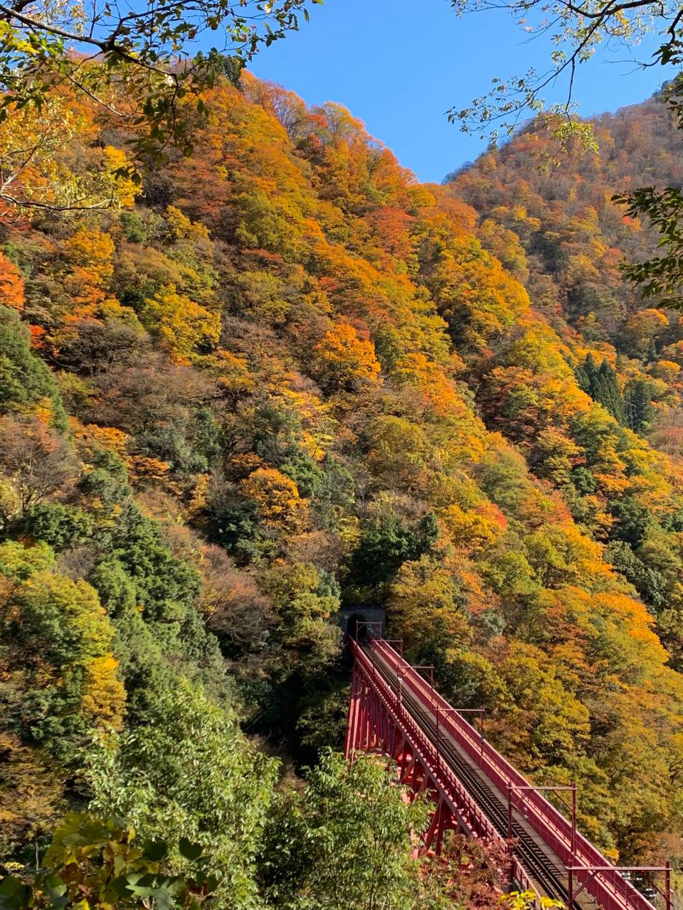 黒部峡谷トロッコ電車沿線の紅葉情報 22 ウェザーニュース