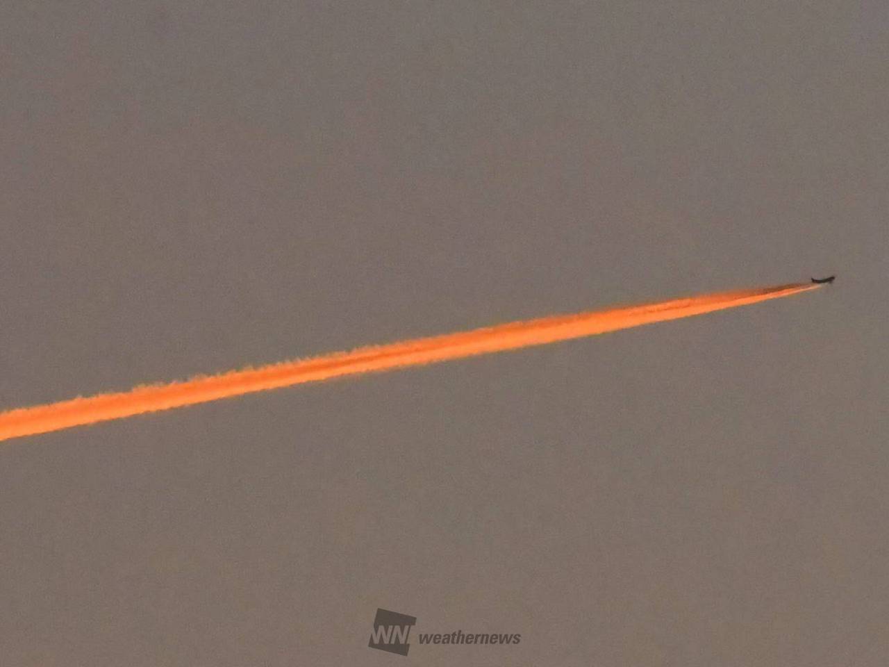 飛行機雲さま専用 おまとめ 朝空と飛行機雲 注目の空の写真 ウェザーニュース