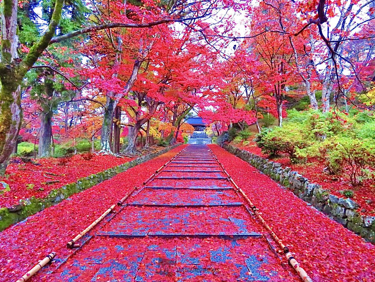 日本の秋を錦色に染める 紅葉絶景写真館 注目の空の写真 日本の秋を錦色に染める 紅葉絶景写真館 注目の空の写真