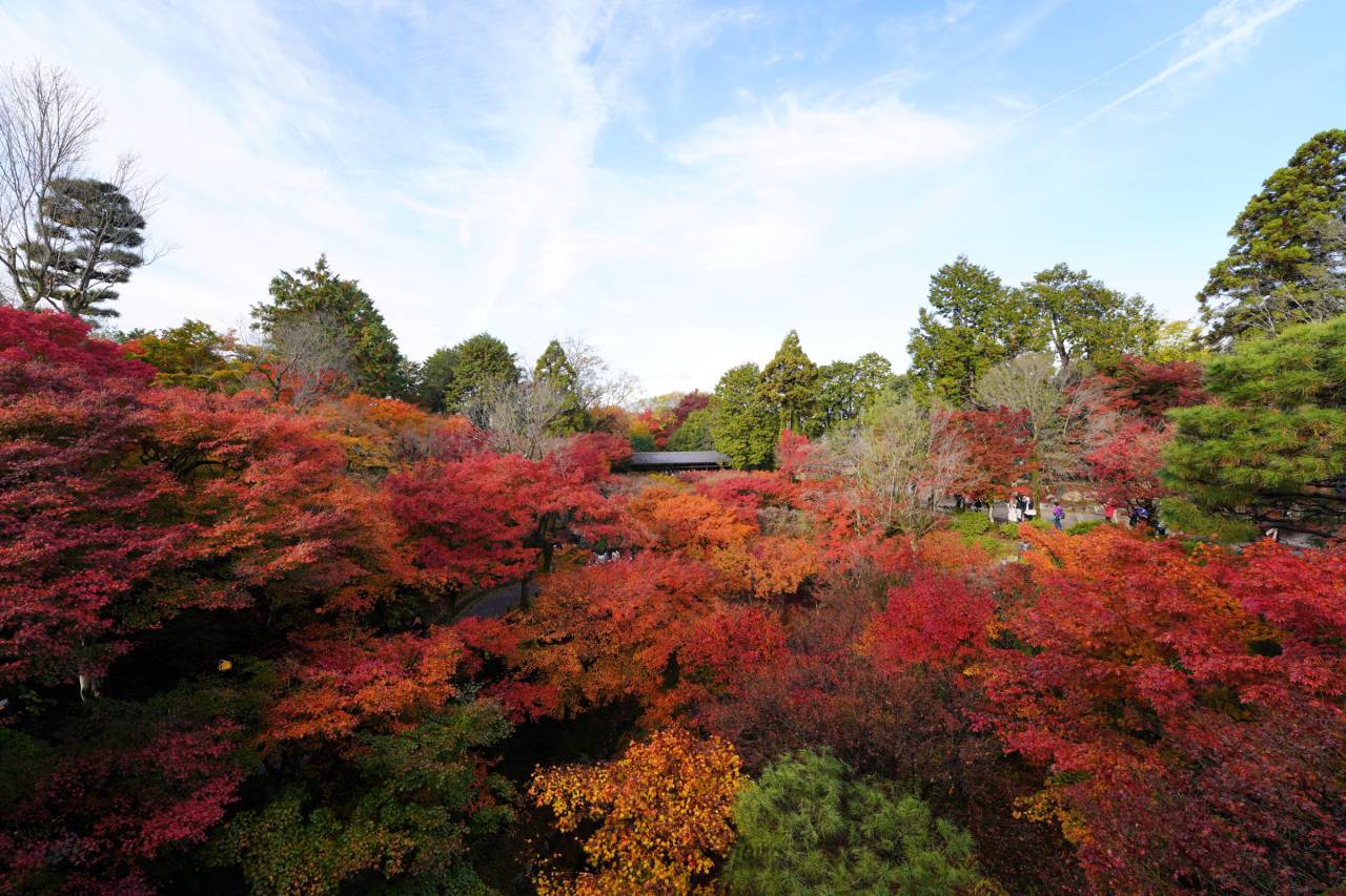日本の秋を錦色に染める 紅葉絶景写真館 注目の空の写真