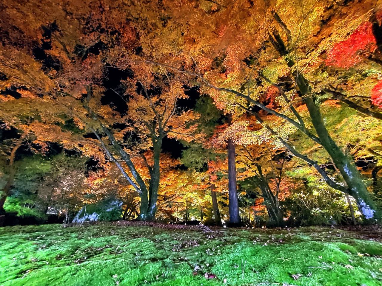 日本の秋を錦色に染める 紅葉絶景写真館 注目の空の写真 日本の秋を錦色に染める 紅葉絶景写真館 注目の空の写真