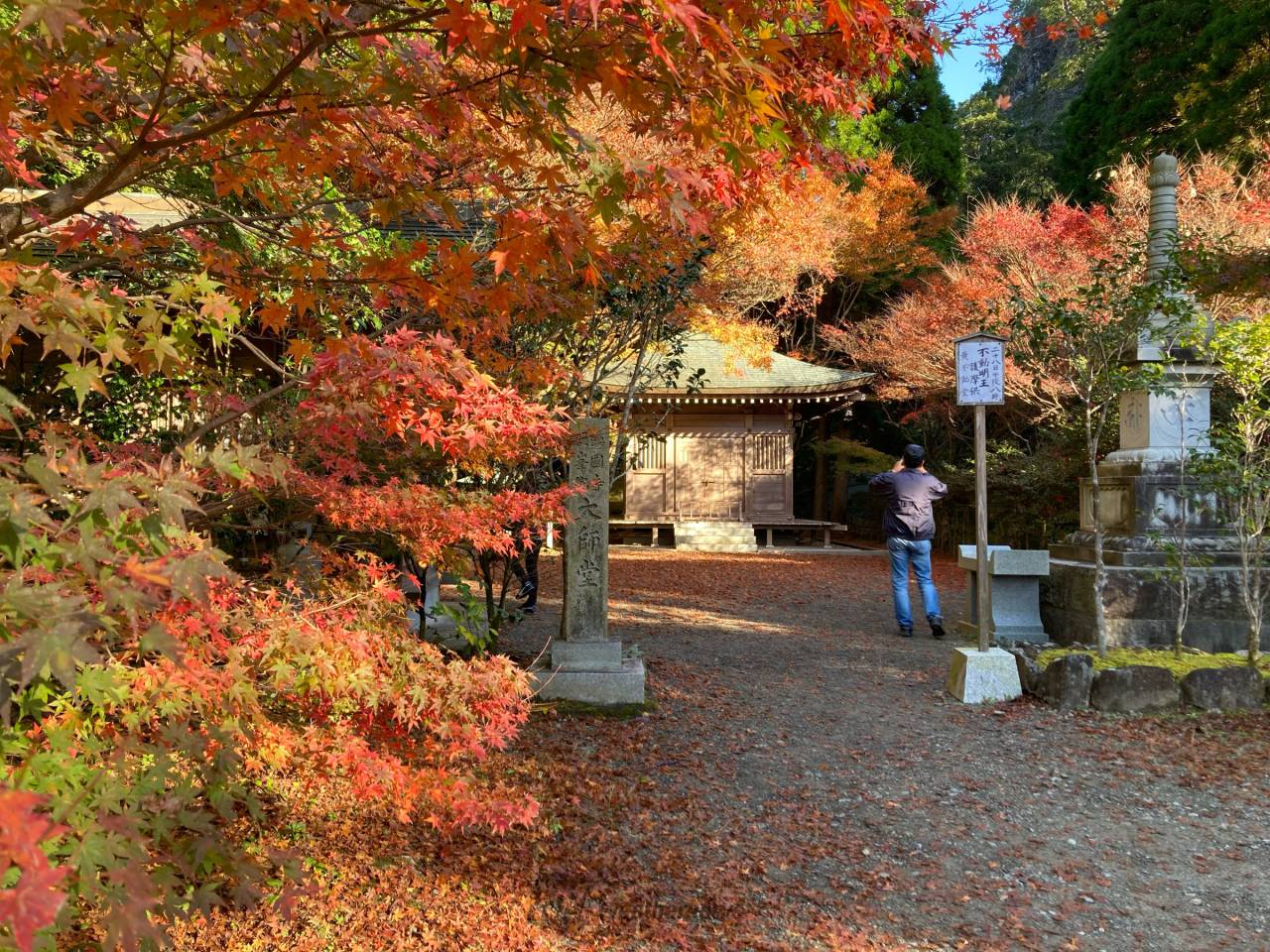 冠岳の紅葉情報 22 ウェザーニュース