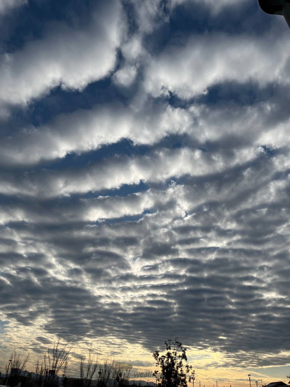 太いナミナミ雲 注目の空の写真 ウェザーニュース