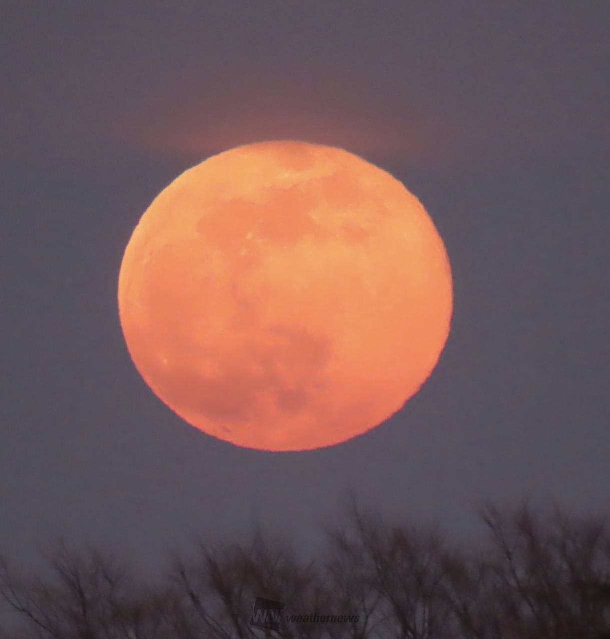 今年初の満月 「ウルフムーン」 注目の空の写真 ウェザーニュース