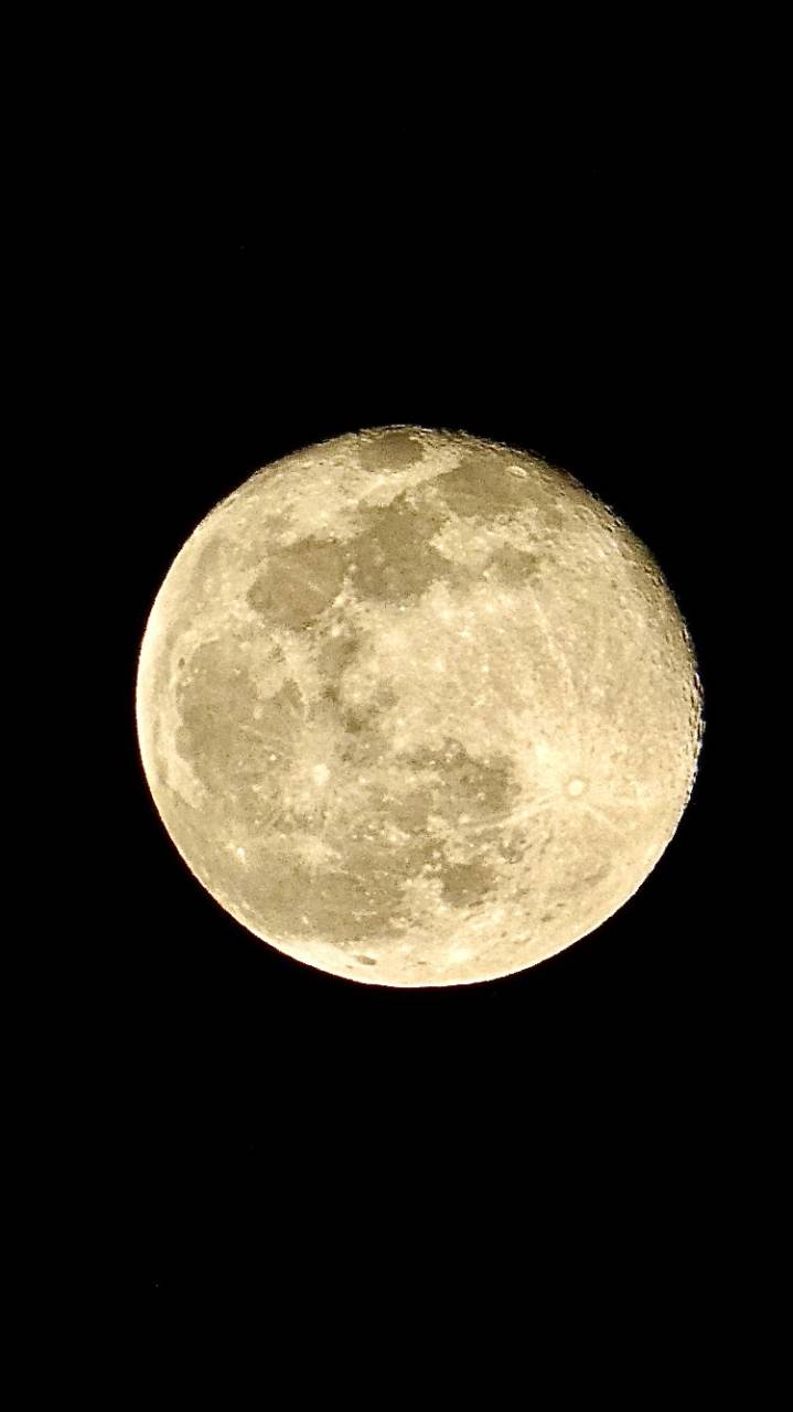 ほぼ満月の丸いお月様 注目の空の写真 ウェザーニュース