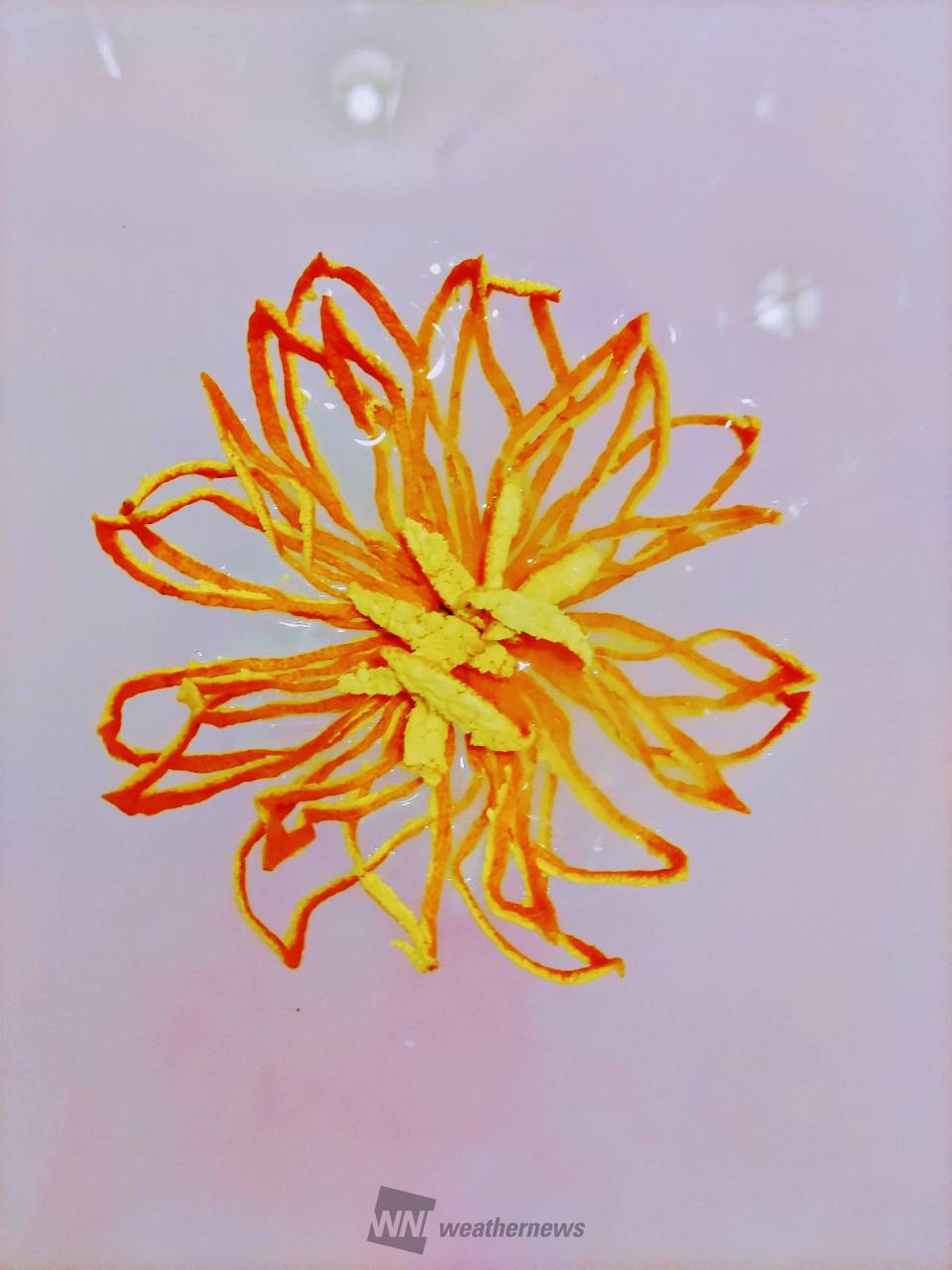 みかんの皮で作ろう♪ 注目の空の写真 ウェザーニュース