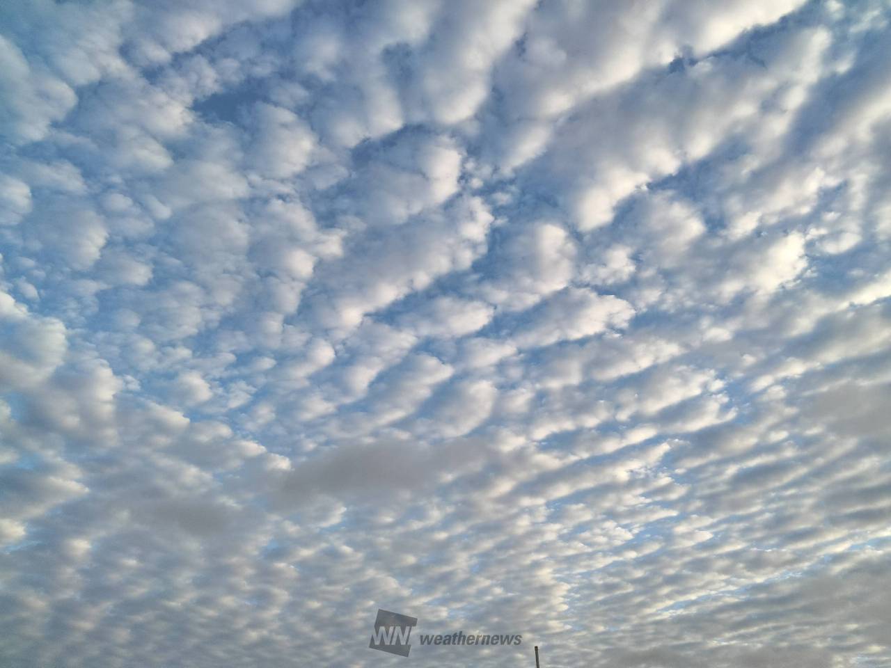 もこもこ雲の絨毯 注目の空の写真 ウェザーニュース