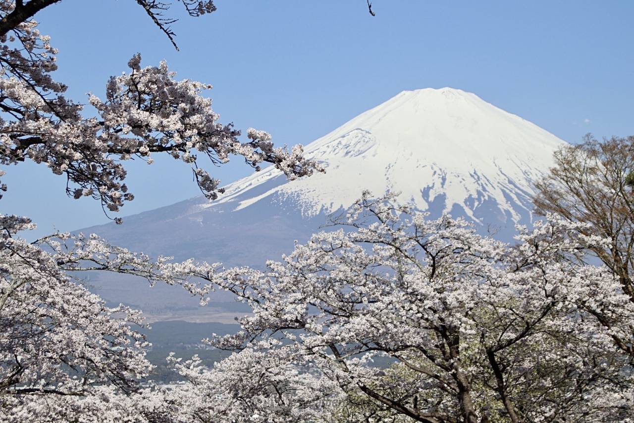 桜の絶景写真 注目の空の写真 ウェザーニュース