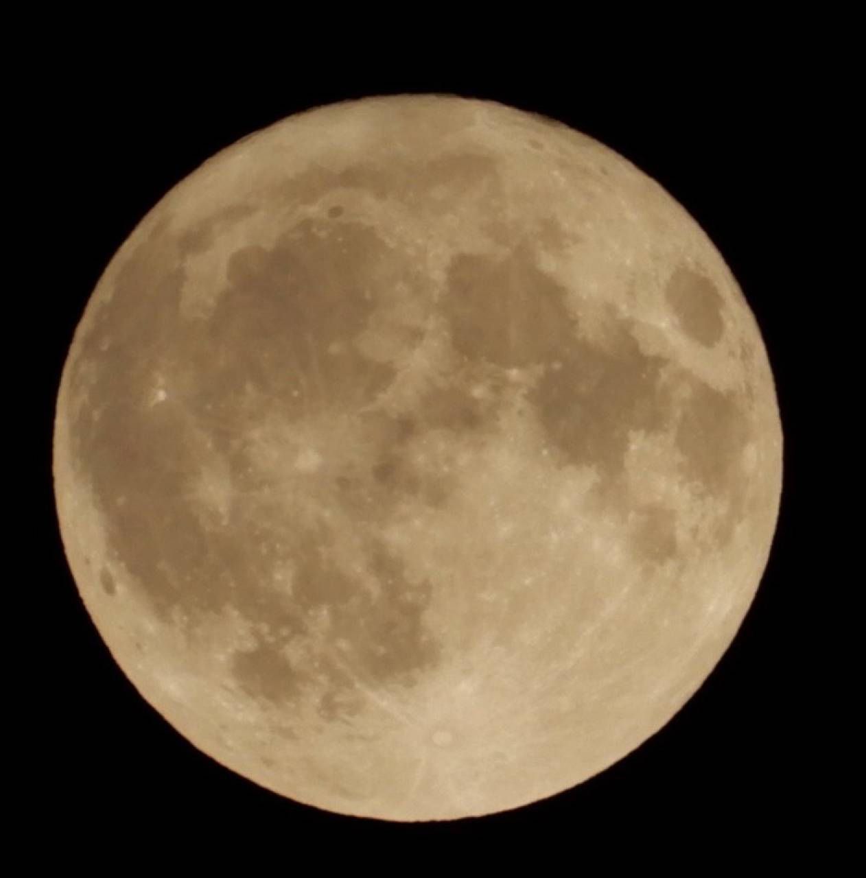 バックムーン🌕 注目の空の写真 ウェザーニュース