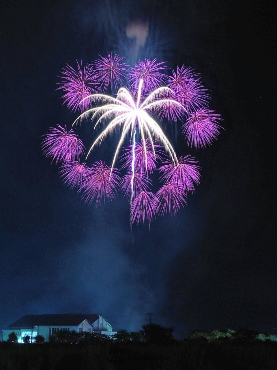 夏の夜空に打ち上げ花火 注目の空の写真 ウェザーニュース