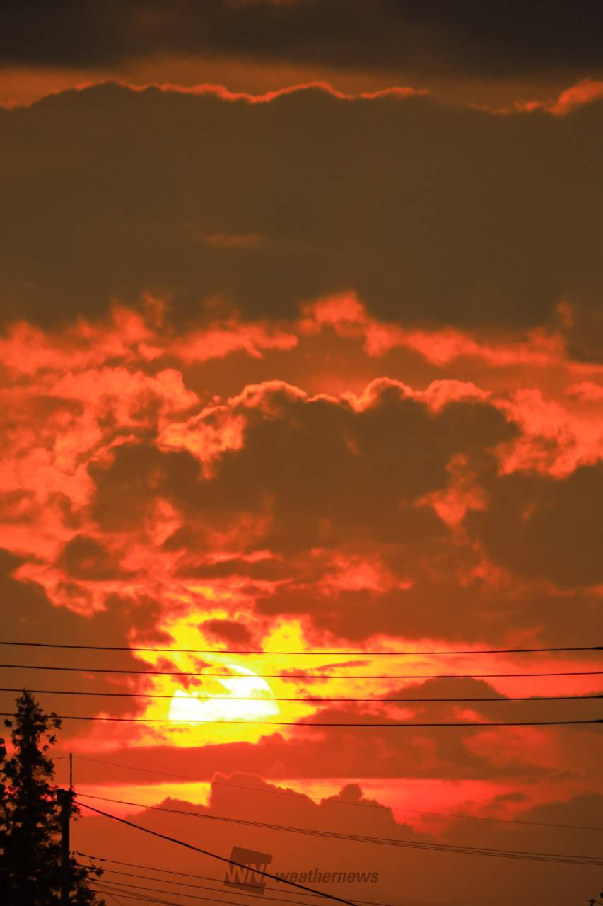 今日の夕空コレクション 注目の空の写真 ウェザーニュース