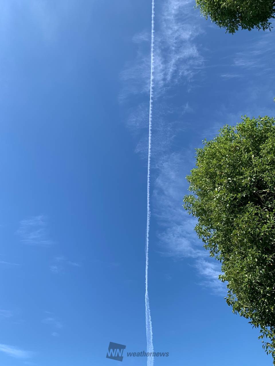飛行機雲がくっきり 注目の空の写真 ウェザーニュース