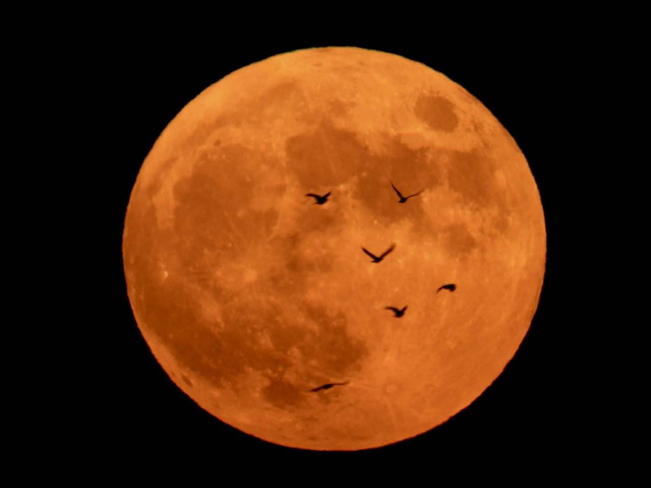 中秋の名月で満月🌝 注目の空の写真 ウェザーニュース