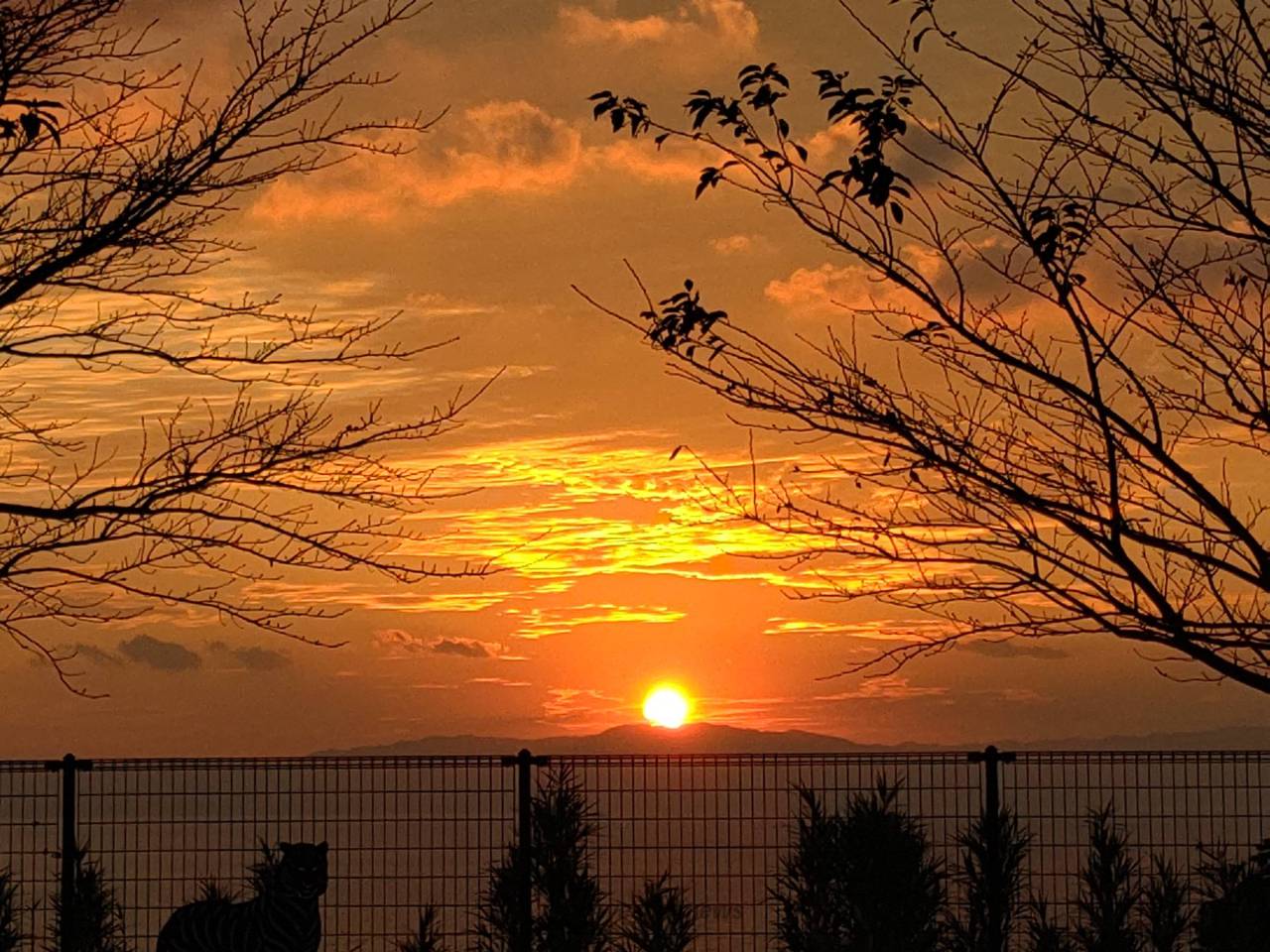 本日の夕焼け 注目の空の写真 ウェザーニュース