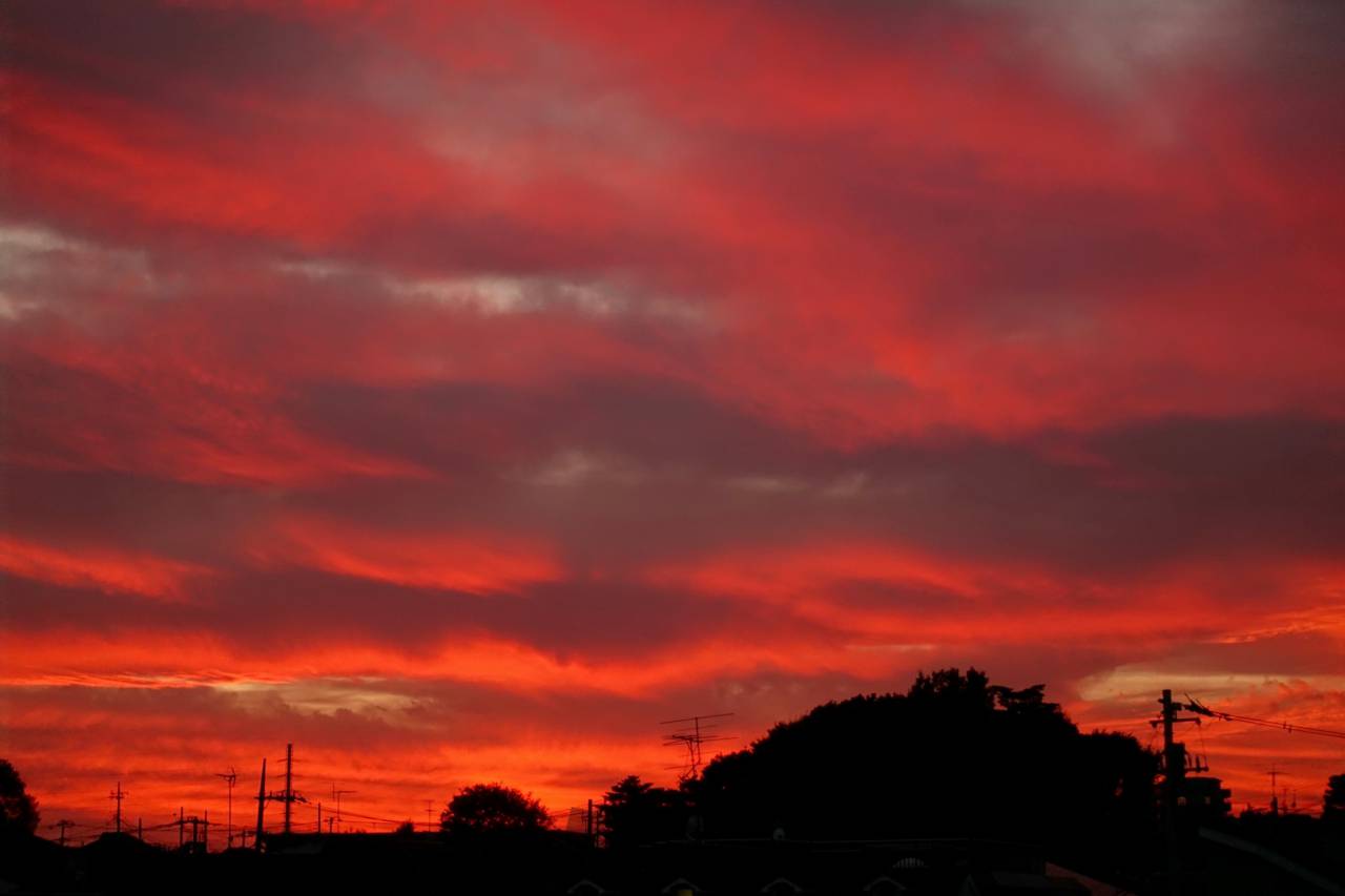 本日の夕焼け 注目の空の写真 ウェザーニュース