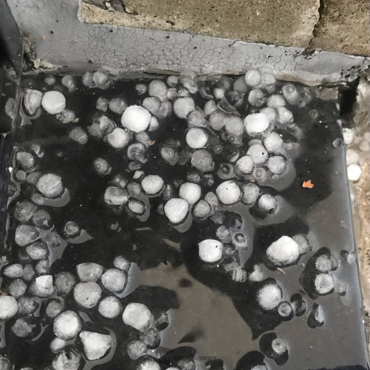 昨日のゲリラ雷雨の様子 雹、アラレも 注目の空の写真 ウェザー