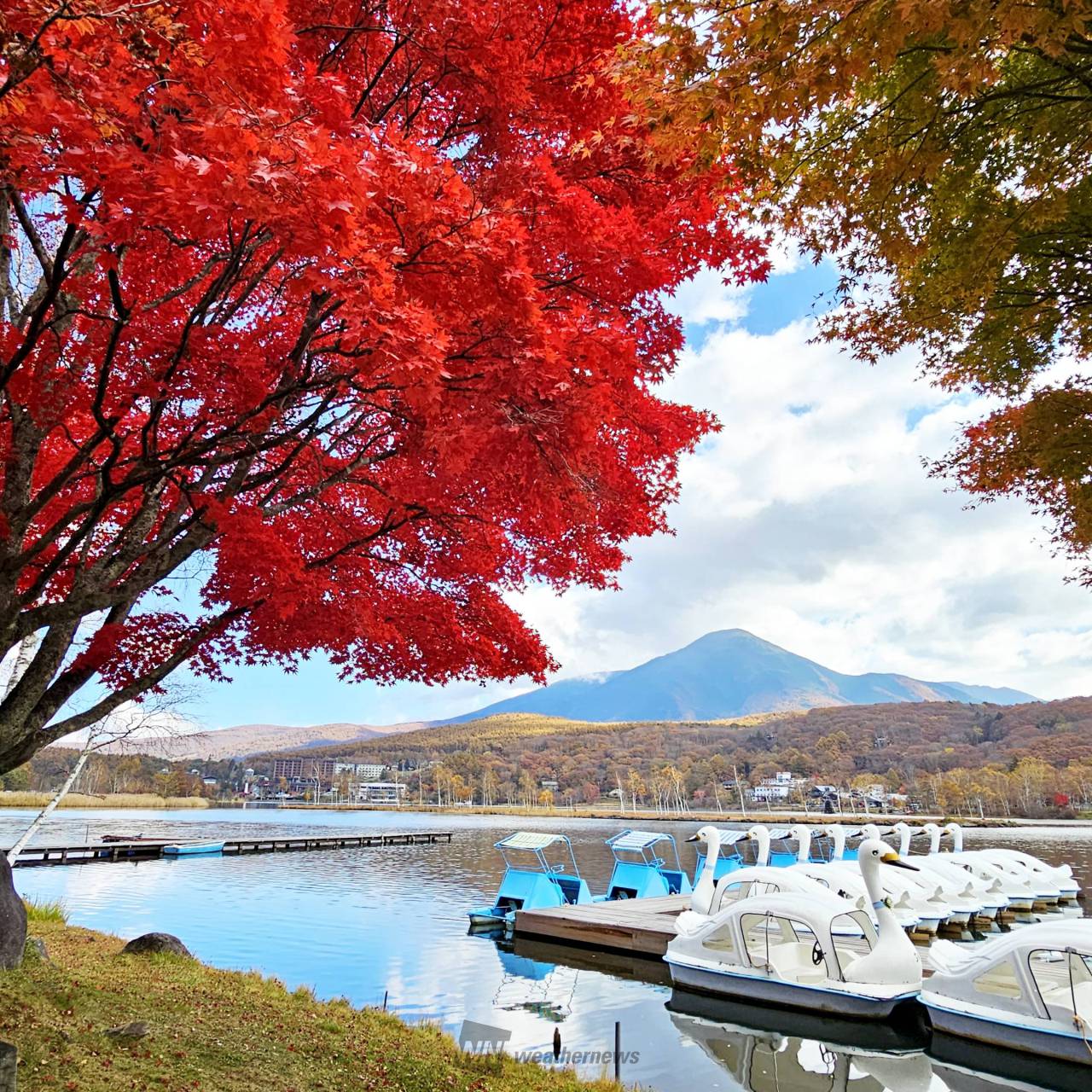 白樺湖の紅葉情報【2024】 - ウェザーニュース