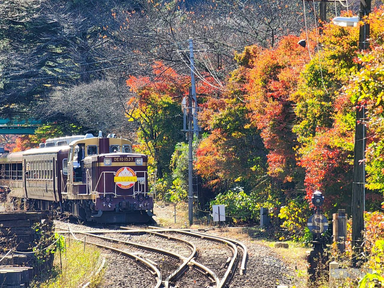 わたらせ渓谷鐵道沿線の紅葉イメージ