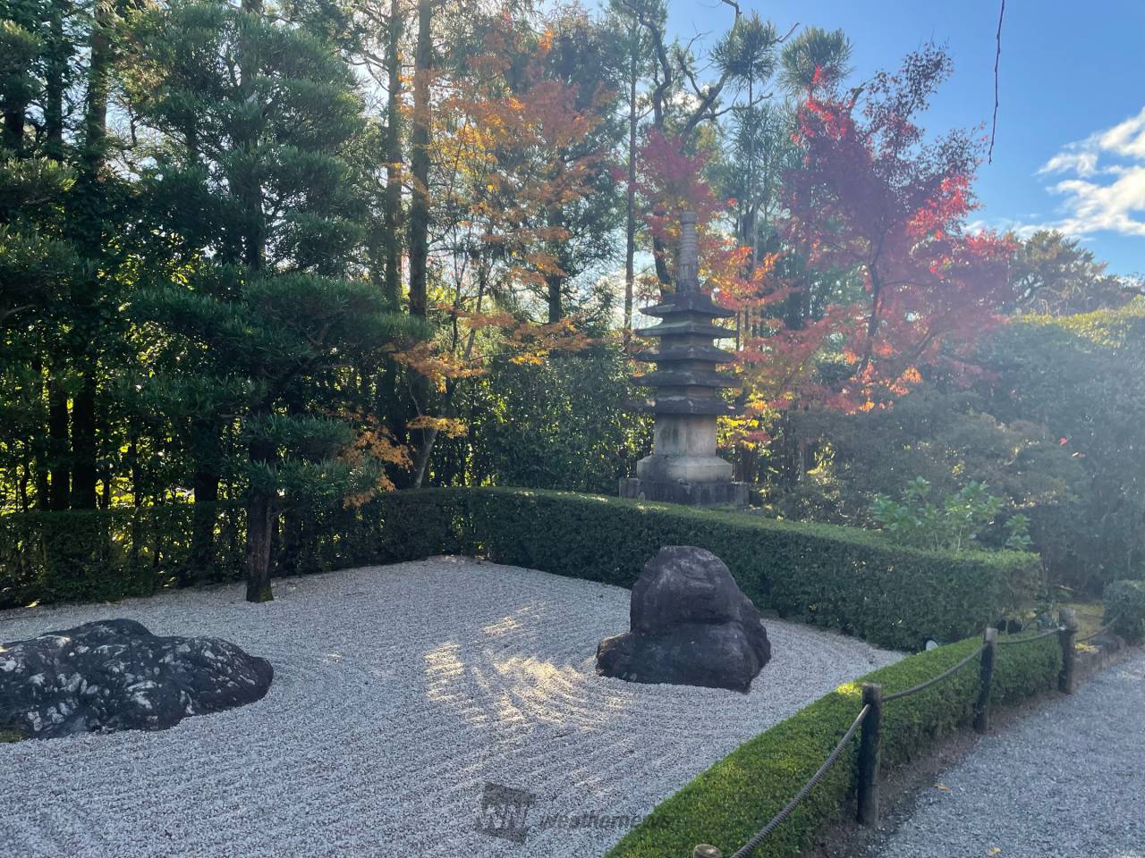 妙心寺退蔵院(余香苑)(kyoto)の紅葉見頃情報 - 紅葉Ch. | dメニュー天気