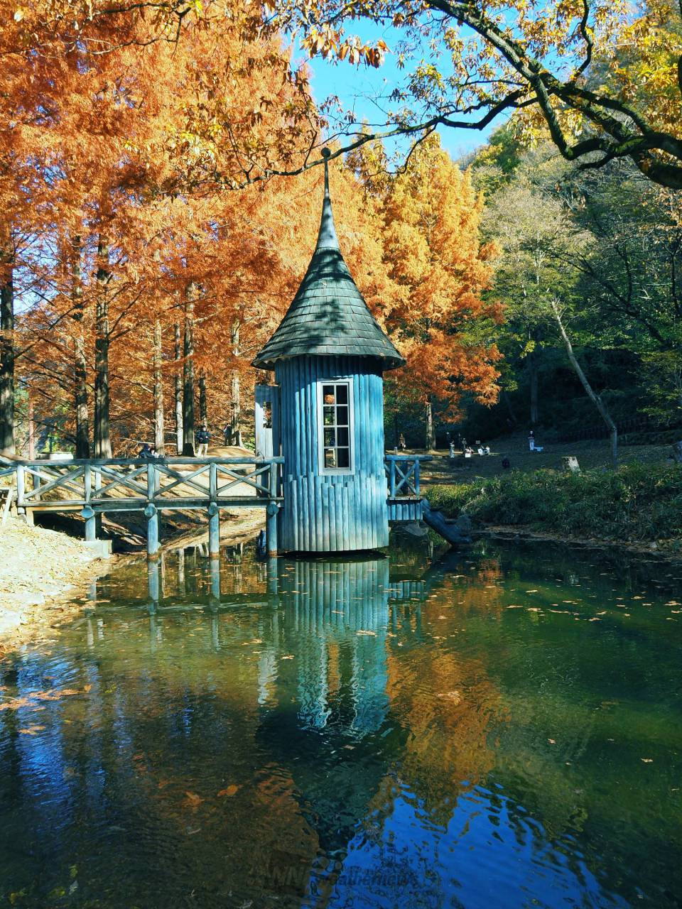 トーベ・ヤンソンあけぼの子どもの森公園の紅葉情報【2023】 - ウェザーニュース