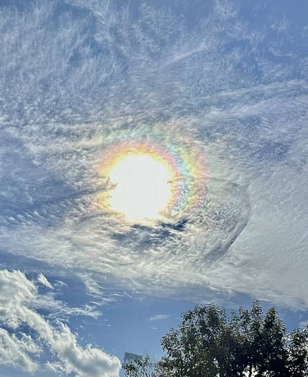彩雲日和 注目の空の写真 ウェザーニュース