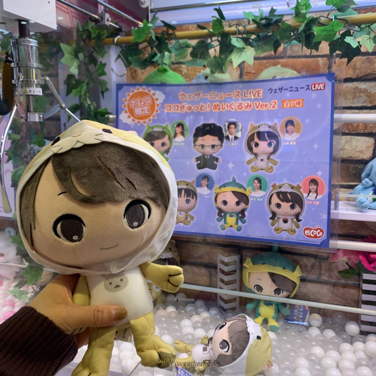 ウェザーニュースLiVE ココぎゅっと！ぬいぐるみ　全13種 Amazon.co.jp: ウェザーニュースLiVE ココぎゅっとぬいぐるみ
