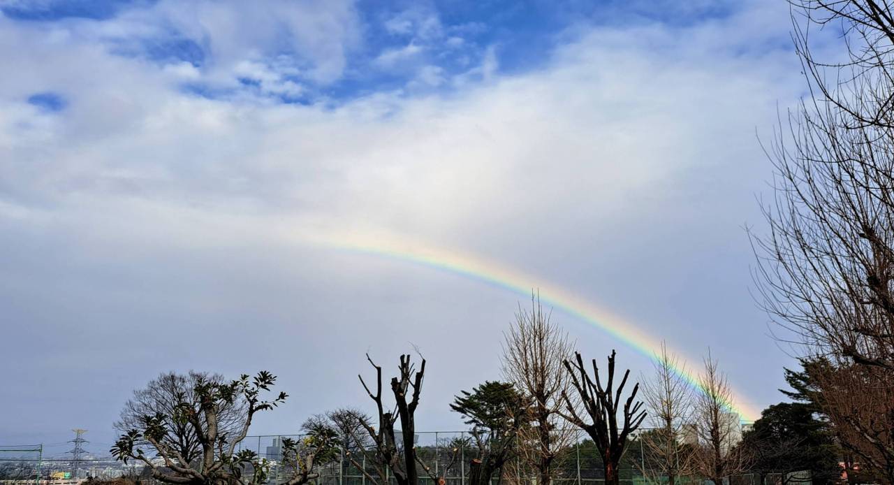 雨あがりに虹🌈 注目の空の写真 ウェザーニュース