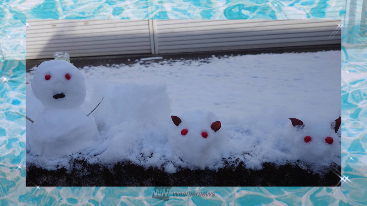 雪だるまページ 雪だるまらしき…1体 雪うさぎ…いや、や | 鹿児島県霧島市 | 3匹の